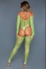 2156 Alluring Fishnet