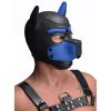 Spike Neoprene Puppy Hood